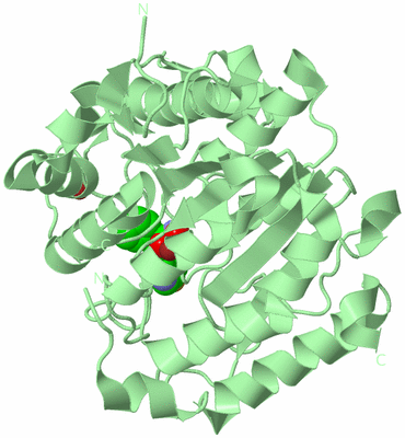 Image Biological Unit 2