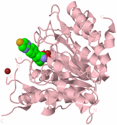 Image Biological Unit 3