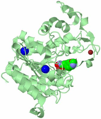 Image Biological Unit 2