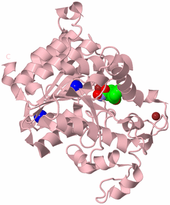 Image Biological Unit 3