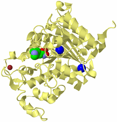 Image Biological Unit 4