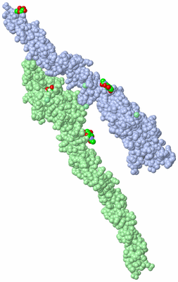 Image Asymmetric Unit