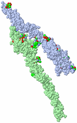 Image Asym. Unit - sites