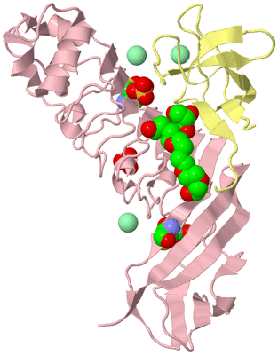 Image Biological Unit 2