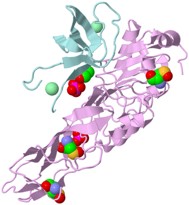 Image Biological Unit 3