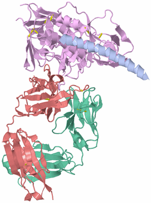 Image Biological Unit 1