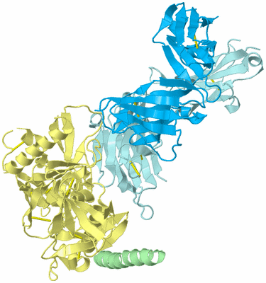 Image Biological Unit 2