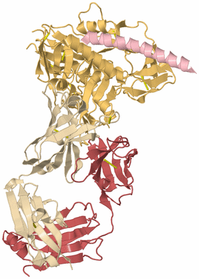 Image Biological Unit 3