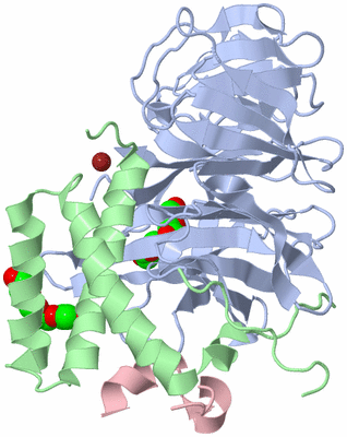 Image Biological Unit 1