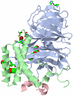 Image Biol. Unit 1 - sites