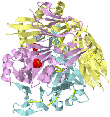 Image Biol. Unit 1 - sites