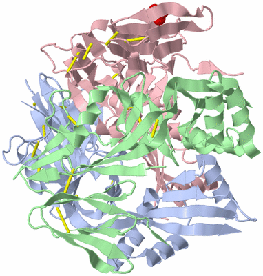 Image Biological Unit 2