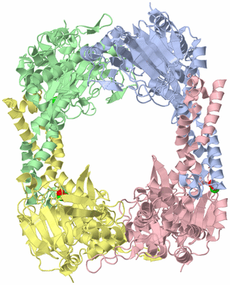 Image Asym./Biol. Unit