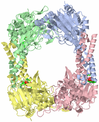 Image Asym./Biol. Unit - sites