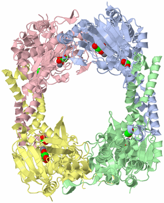 Image Asym./Biol. Unit