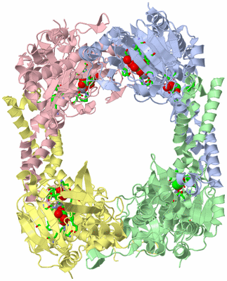 Image Asym./Biol. Unit - sites