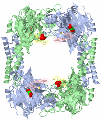 Image Biological Unit 1