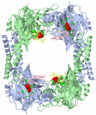 Image Biol. Unit 1 - sites