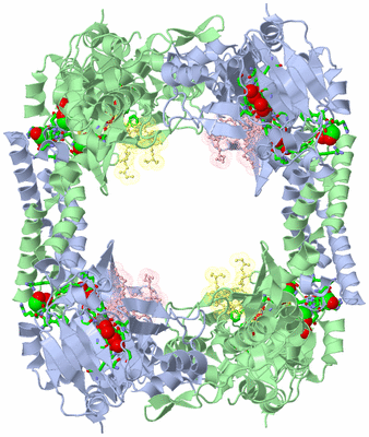 Image Biol. Unit 1 - sites