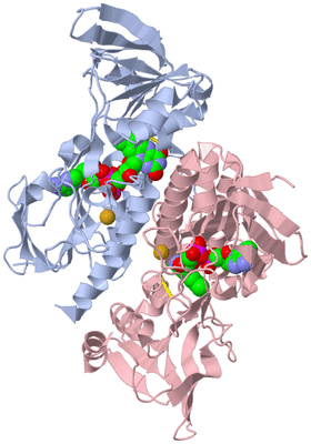 Image Biological Unit 1