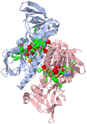 Image Biol. Unit 1 - sites