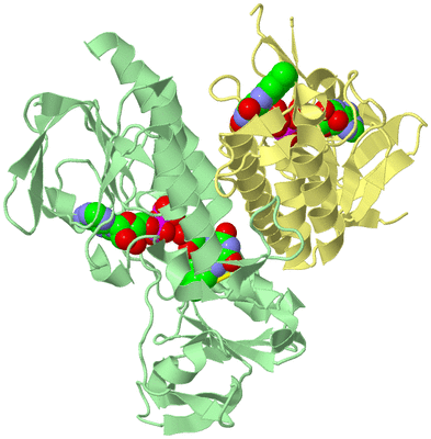 Image Biological Unit 2