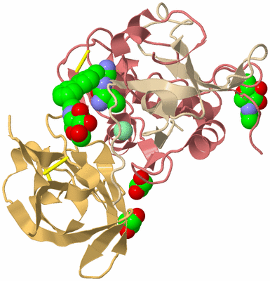 Image Biological Unit 1