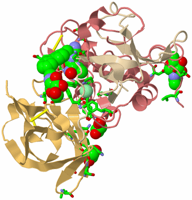 Image Biol. Unit 1 - sites