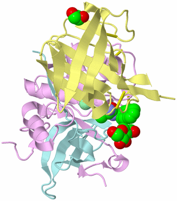 Image Biological Unit 2