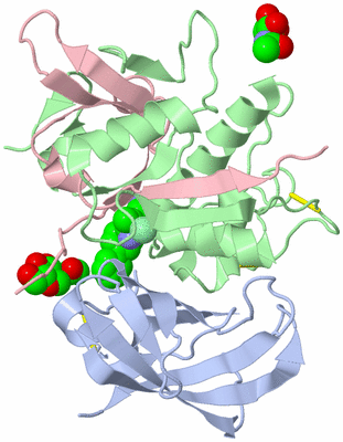 Image Biological Unit 3