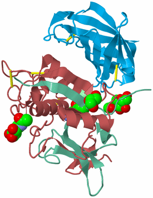 Image Biological Unit 4