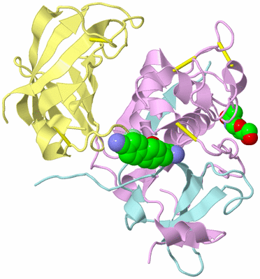 Image Biological Unit 1