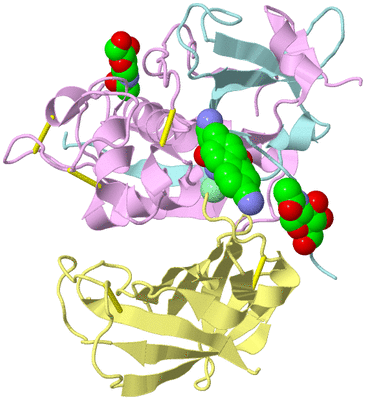 Image Biological Unit 1