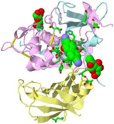 Image Biol. Unit 1 - sites