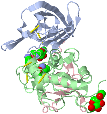 Image Biological Unit 2