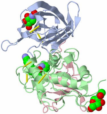 Image Biological Unit 1