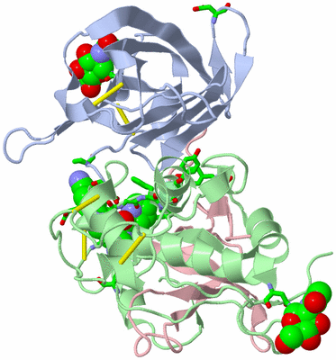 Image Biol. Unit 1 - sites