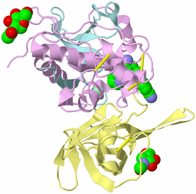 Image Biological Unit 2