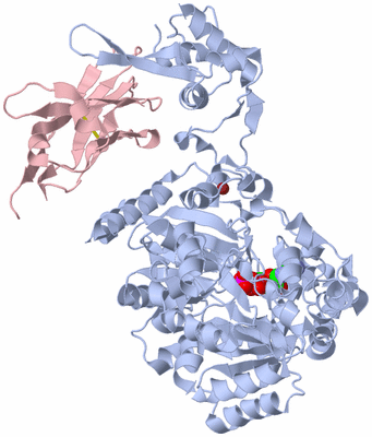 Image Biological Unit 1