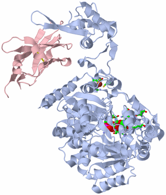 Image Biol. Unit 1 - sites