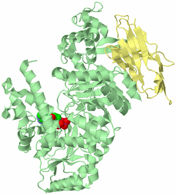 Image Biological Unit 2