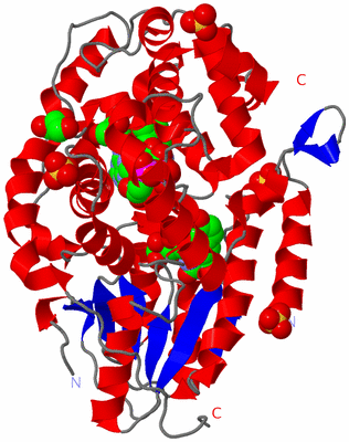 Image Asym./Biol. Unit