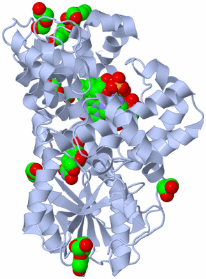 Image Biological Unit 1