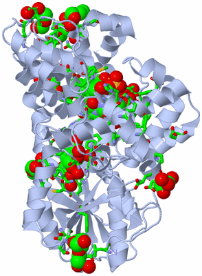 Image Biol. Unit 1 - sites