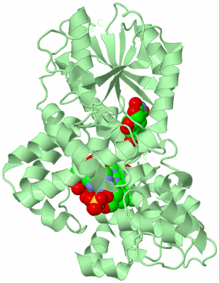 Image Biological Unit 2