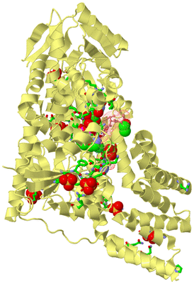 Image Biol. Unit 1 - sites