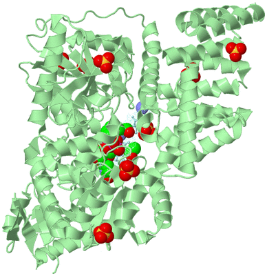 Image Biological Unit 3