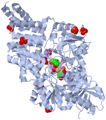 Image Biological Unit 4