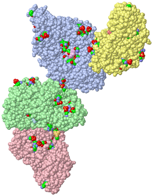 Image Asym. Unit - sites