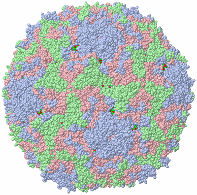 Image Biol. Unit 1 - sites